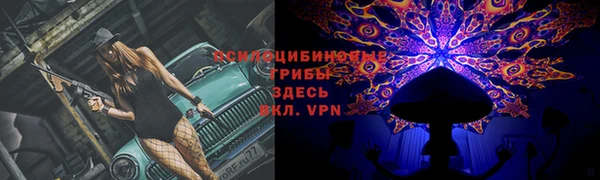 крисы Алексин