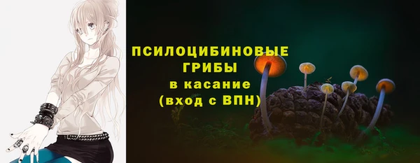 крисы Алексин