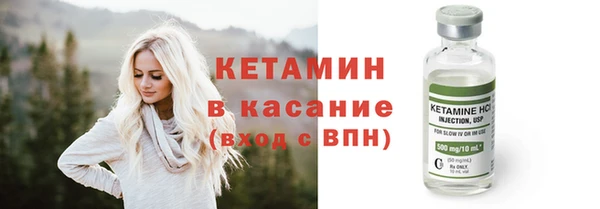 крисы Алексин