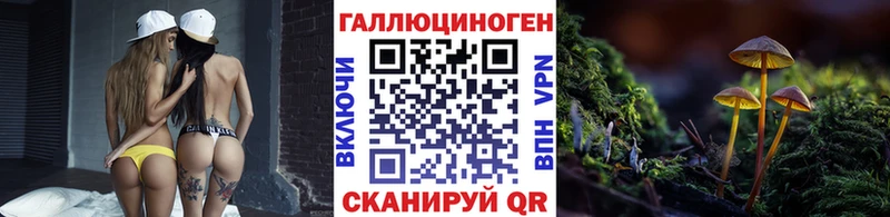 Галлюциногенные грибы Psilocybine cubensis  Переславль-Залесский 